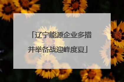 辽宁能源企业多措并举备战迎峰度夏