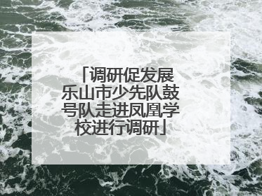 调研促发展 乐山市少先队鼓号队走进凤凰学校进行调研