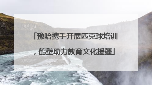 豫哈携手开展匹克球培训，鹤壁助力教育文化援疆