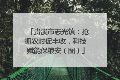 贵溪市志光镇：抢抓农时促丰收，科技赋能保粮安（图）