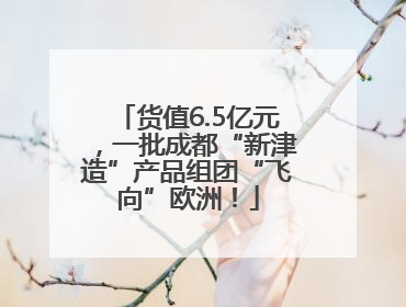 货值6.5亿元，一批成都“新津造”产品组团“飞向”欧洲！