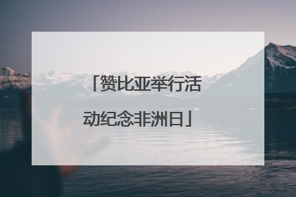 赞比亚举行活动纪念非洲日