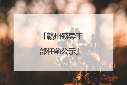 赣州领导干部任前公示