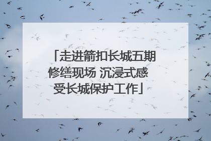 走进箭扣长城五期修缮现场 沉浸式感受长城保护工作