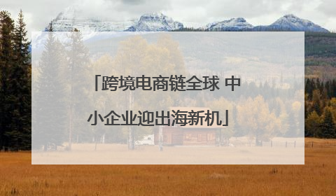 跨境电商链全球 中小企业迎出海新机