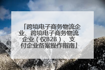 跨境电子商务物流企业、跨境电子商务物流企业（仅B2B）、支付企业备案操作指南