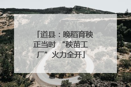 道县：晚稻育秧正当时 “秧苗工厂”火力全开