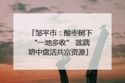 邹平市：酸枣树下“一地多收” 莲藕塘中盘活共富资源