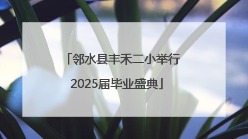 邻水县丰禾二小举行2025届毕业盛典