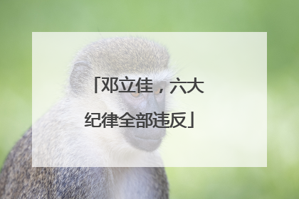 邓立佳，六大纪律全部违反