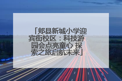 郏县新城小学迎宾街校区：科技游园会点亮童心 探索之旅启航未来