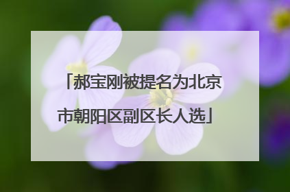 郝宝刚被提名为北京市朝阳区副区长人选