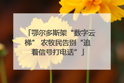 鄂尔多斯架“数字云梯” 农牧民告别“追着信号打电话”