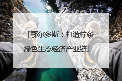鄂尔多斯：打造柠条绿色生态经济产业链