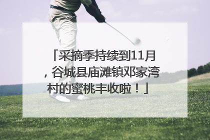 采摘季持续到11月，谷城县庙滩镇邓家湾村的蜜桃丰收啦！