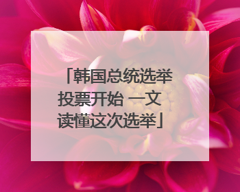 韩国总统选举投票开始 一文读懂这次选举