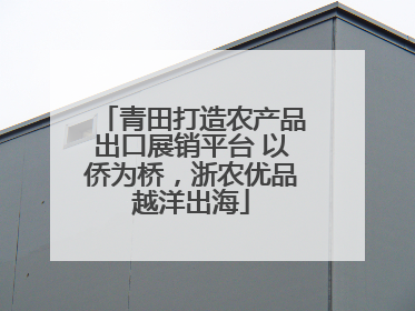 青田打造农产品出口展销平台 以侨为桥，浙农优品越洋出海