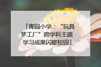 青园小学：“玩具梦工厂”跨学科主题学习成果闪耀校园