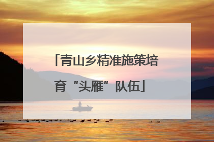 青山乡精准施策培育“头雁”队伍