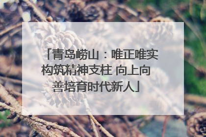 青岛崂山：唯正唯实构筑精神支柱 向上向善培育时代新人