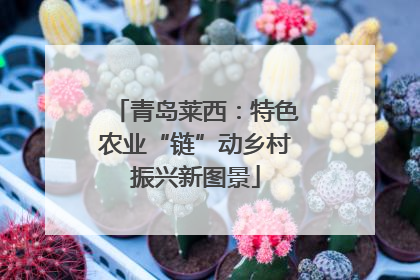 青岛莱西：特色农业“链”动乡村振兴新图景