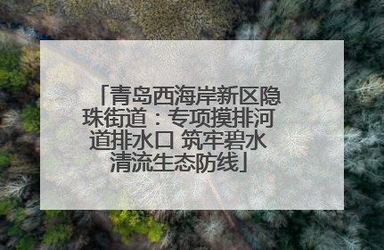 青岛西海岸新区隐珠街道：专项摸排河道排水口 筑牢碧水清流生态防线