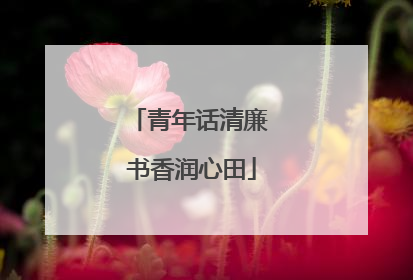 青年话清廉 书香润心田