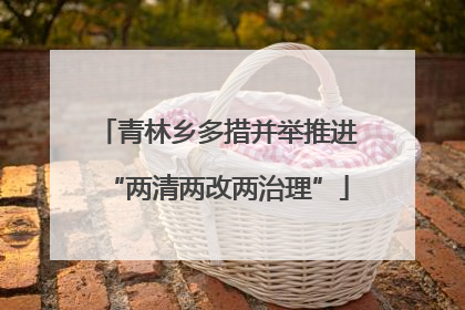 青林乡多措并举推进“两清两改两治理”