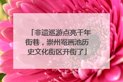 非遗巡游点亮千年街巷，崇州罨画池历史文化街区开街了
