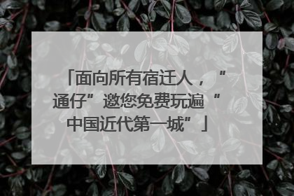 面向所有宿迁人，“通仔”邀您免费玩遍“中国近代第一城”