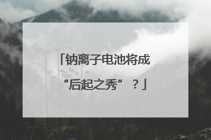 钠离子电池将成“后起之秀”？