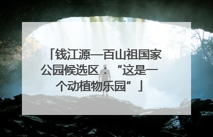 钱江源—百山祖国家公园候选区：“这是一个动植物乐园”