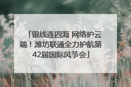 银线连四海 网络护云端！潍坊联通全力护航第42届国际风筝会