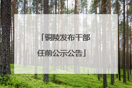 铜陵发布干部任前公示公告