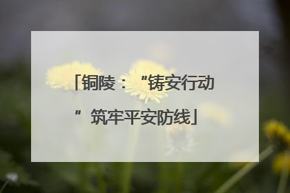铜陵：“铸安行动”筑牢平安防线