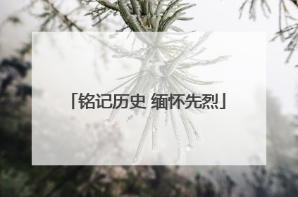 铭记历史 缅怀先烈