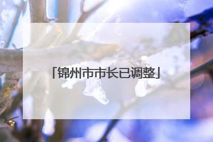 锦州市市长已调整