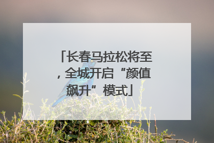 长春马拉松将至，全城开启“颜值飙升”模式