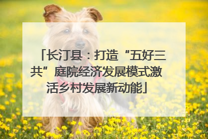 长汀县：打造“五好三共”庭院经济发展模式激活乡村发展新动能
