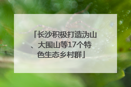 长沙积极打造沩山、大围山等17个特色生态乡村群