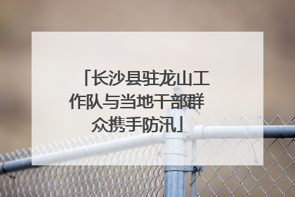 长沙县驻龙山工作队与当地干部群众携手防汛
