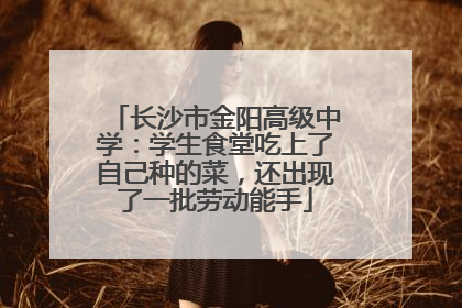 长沙市金阳高级中学：学生食堂吃上了自己种的菜，还出现了一批劳动能手