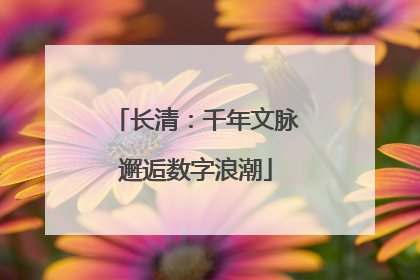 长清：千年文脉邂逅数字浪潮