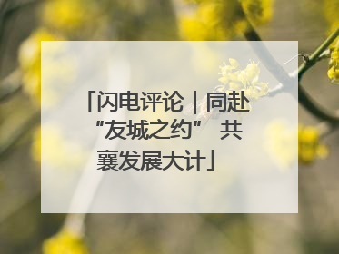 闪电评论｜同赴“友城之约” 共襄发展大计