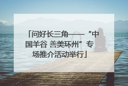 问好长三角——“中国羊谷 善美环州”专场推介活动举行