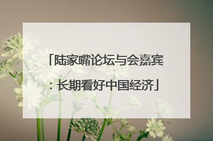 陆家嘴论坛与会嘉宾：长期看好中国经济
