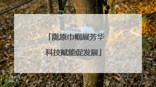 陇原巾帼展芳华 科技赋能促发展