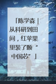 陈学森｜从科研到田间，红苹果里装了颗“中国芯”
