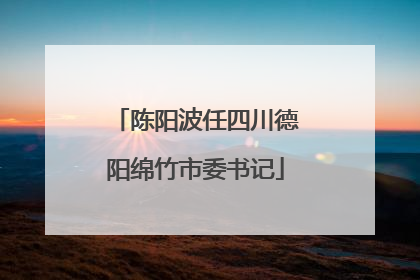 陈阳波任四川德阳绵竹市委书记