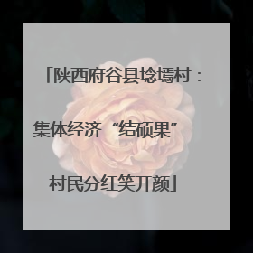 陕西府谷县埝墕村：集体经济“结硕果” 村民分红笑开颜